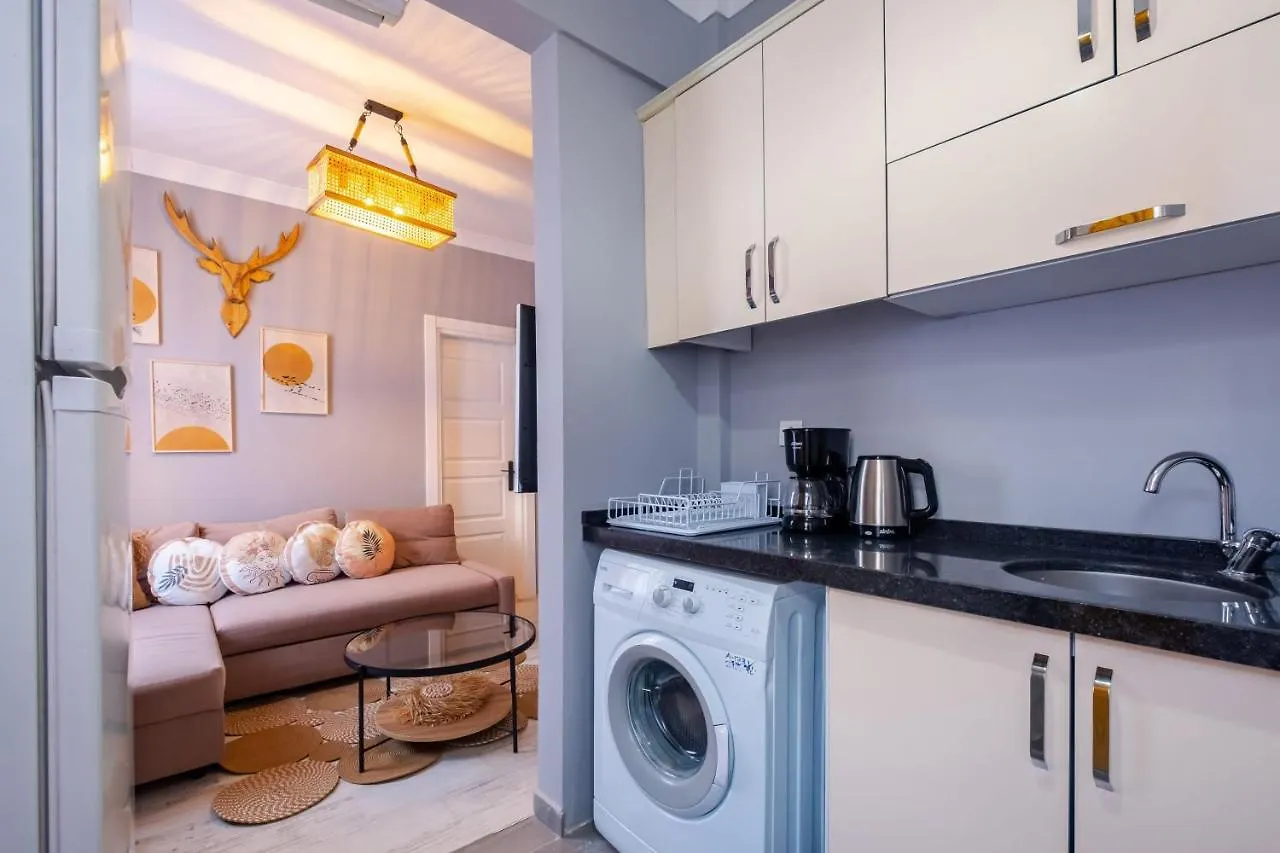 Spectacular Flat Near Bagdat Street In Kadikoy Apartment Istanbul