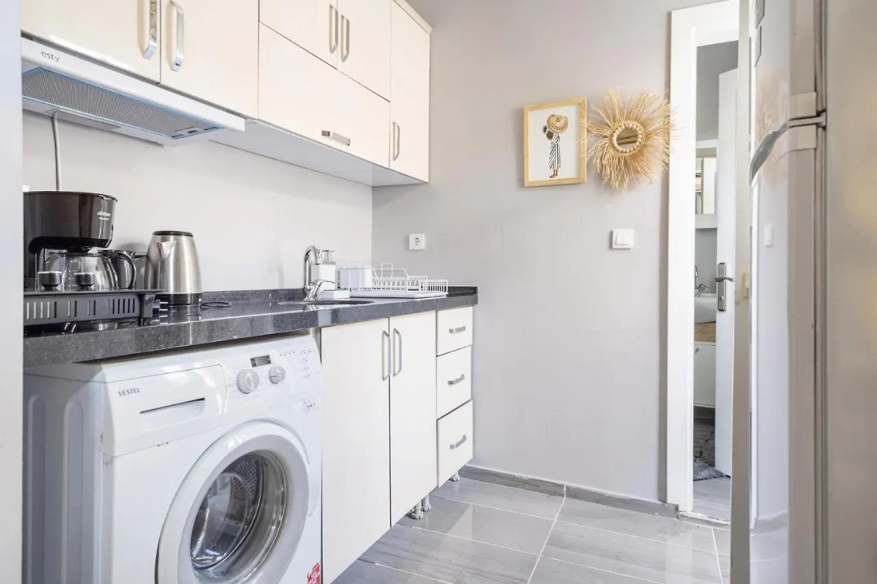Spectacular Flat Near Bagdat Street In Kadikoy Apartment Istanbul